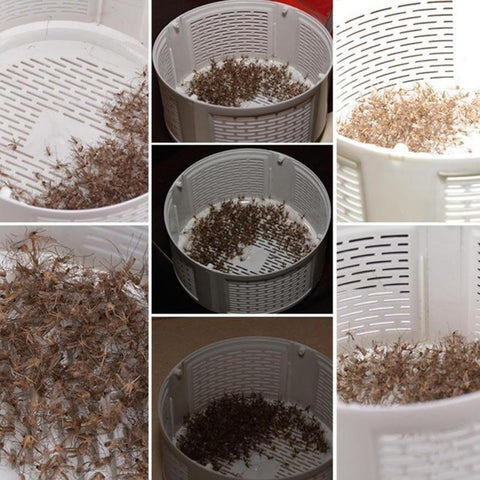 QUIET + NON TOXIC LED MOSQUITO LAMP