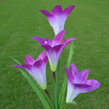 Outdoor Solar Lights - Solar Garden Lights