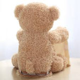 Peek A Boo Bear - Peek A Boo Teddy Bear