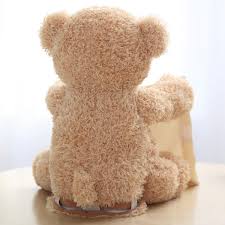 Peek A Boo Bear - Peek A Boo Teddy Bear