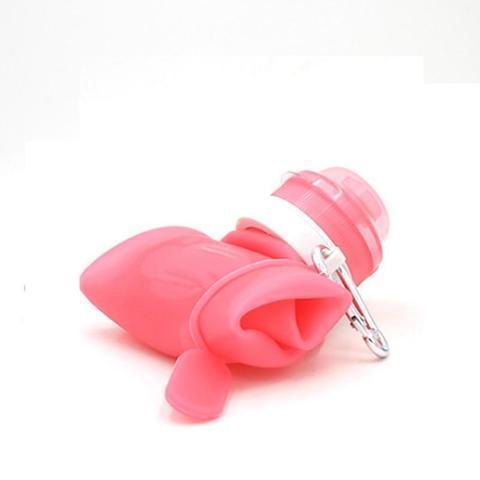 Collapsible Water Bottle - Foldable Water Bottle - Best Collapsible Water Bottle