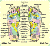 Detox Foot Pads