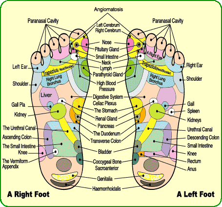 Detox Foot Pads