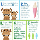 Dog Toothbrush Toy - Dog Teeth Cleaning Toy - Dog Toothbrush Chew Toy