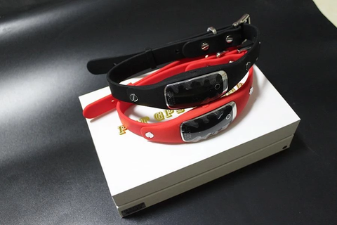 GPS Dog Collar - Dog Tracker