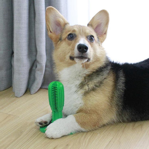 Dog Toothbrush Toy - Dog Teeth Cleaning Toy - Dog Toothbrush Chew Toy
