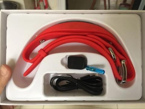 GPS Dog Collar - Dog Tracker