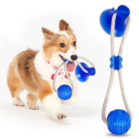 Dog Chew Toys
