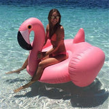 Flamingo Float - Flamingo Pool Float - Giant Flamingo Float