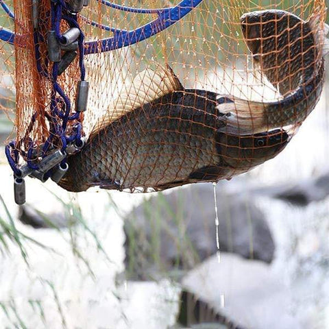 Fishing Net - Cast Net