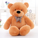 Giant Teddy Bear - Huge Teddy Bear