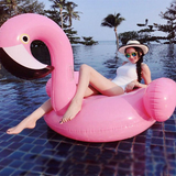 Flamingo Float - Flamingo Pool Float - Giant Flamingo Float
