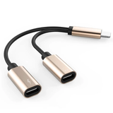 iPhone Charger and Headphone Adapter