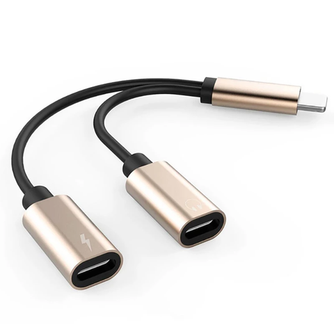 iPhone Charger and Headphone Adapter