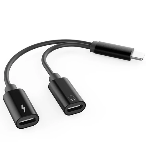 iPhone Charger and Headphone Adapter