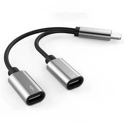 iPhone Charger and Headphone Adapter