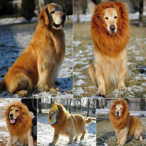 Lion Mane for Dog - Dog Lion Costume - Lion Mane Dog Costume