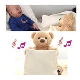 Peek A Boo Bear - Peek A Boo Teddy Bear