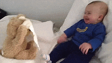 Peek A Boo Bear - Peek A Boo Teddy Bear