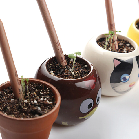 Sprout Pencil - Plantable Pencils - Pencils You Can Plant