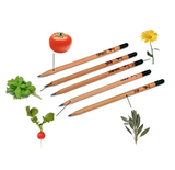 Sprout Pencil - Plantable Pencils - Pencils You Can Plant