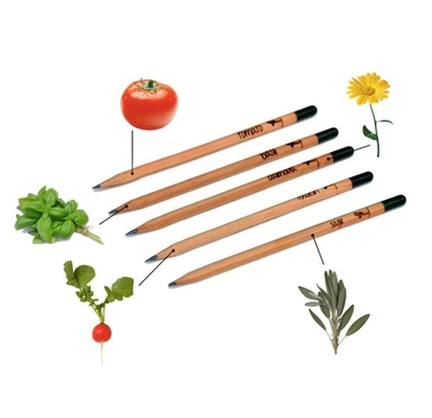 Sprout Pencil - Plantable Pencils - Pencils You Can Plant