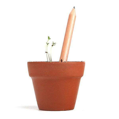 Sprout Pencil - Plantable Pencils - Pencils You Can Plant