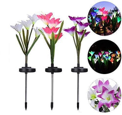 Outdoor Solar Lights - Solar Garden Lights
