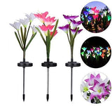 Outdoor Solar Lights - Solar Garden Lights