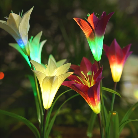 Outdoor Solar Lights - Solar Garden Lights