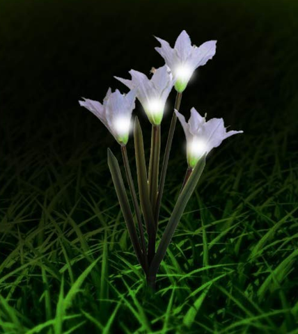 Outdoor Solar Lights - Solar Garden Lights