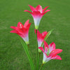 Outdoor Solar Lights - Solar Garden Lights