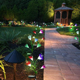 Outdoor Solar Lights - Solar Garden Lights