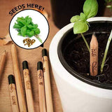 Sprout Pencil - Plantable Pencils - Pencils You Can Plant