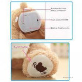 Peek A Boo Bear - Peek A Boo Teddy Bear