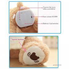 Peek A Boo Bear - Peek A Boo Teddy Bear